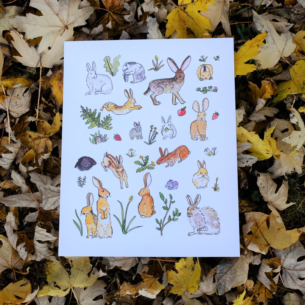 Chinese Zodiac Series