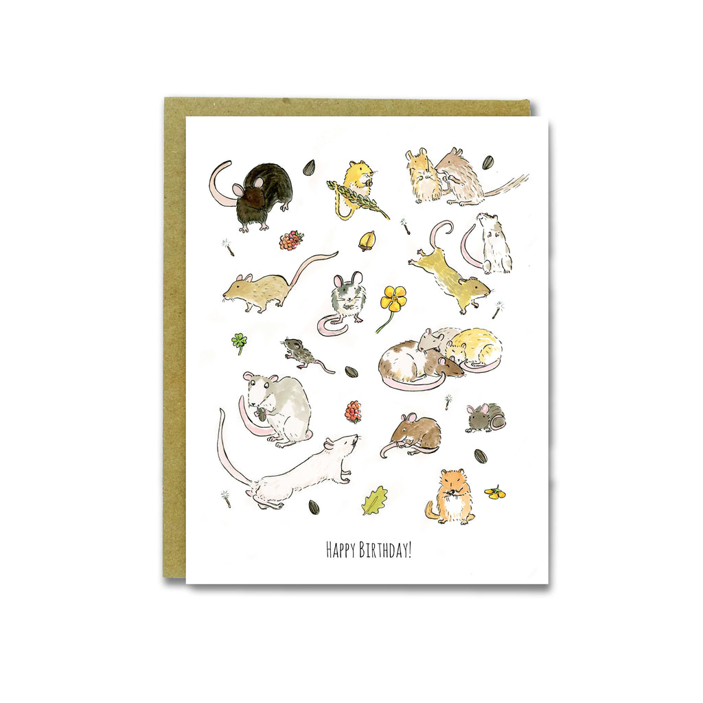 Year of the Rat
