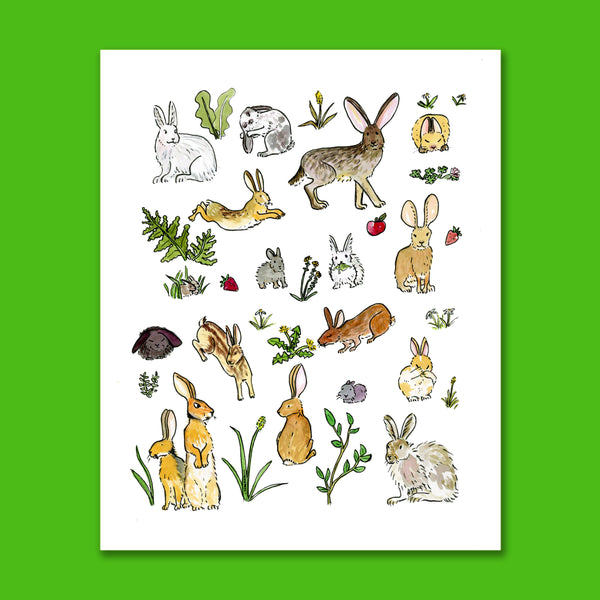 Year of the Rabbit 8X10 Art Print