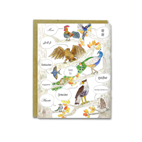 World Birds